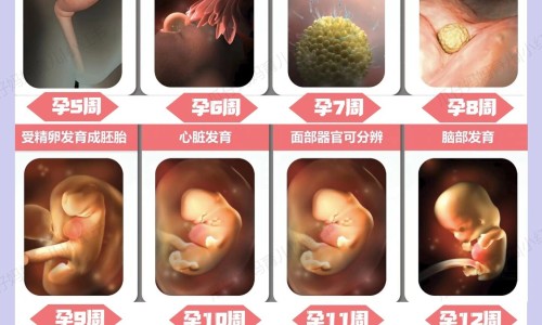 怀孕期间卵巢囊肿怎么治疗比较好-怀孕期间卵巢囊肿32 28网 - 网站提供怀孕期间卵巢囊肿越来越大怎么办小常识、怀孕期间卵巢囊肿会变大吗